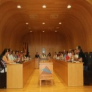 Pleno de organización comarca de Los Monegros 28 7 2015 030