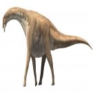Reconstrucci�n art�stica de Aragosaurus ischiaticus. Cr�dito: Fundaci�n Din�polis-Oscar Sanisidro.                                                                                                                                                             