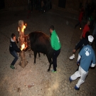 Por la noche, se embolaron dos toros                                                                                                                                                                                                                           