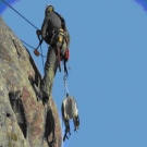 La intervenci�n estuvo centrada en reflejar la cuant�a y complejidad de las actuaciones en las grandes paredes invernales y la variedad de especies amenazadas                                                                                                 