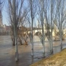 Imagen de Zaragoza este viernes                                                                                                                                                                                                                                