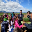 Unos 160 escolares han participado en la jornada de plantaci�n.                                                                                                                                                                                                