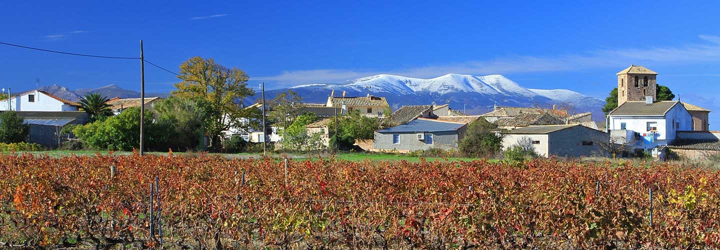 La Ruta de la Garnacha